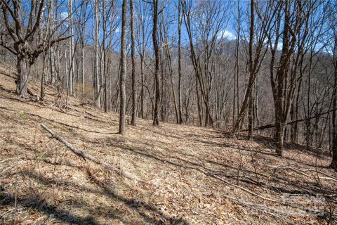 99999 Robinson Cove Road PT 5 Leicester NC 28748