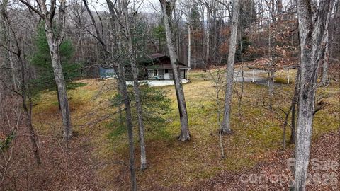 67 Shawnee Trail Asheville NC 28805