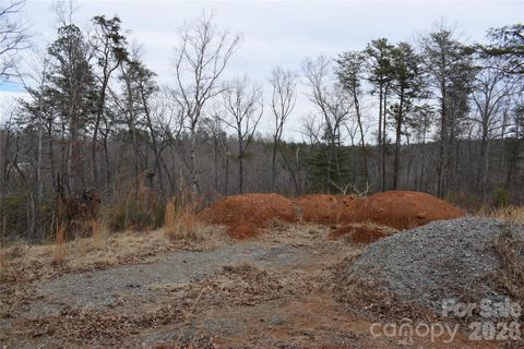 172 Winter Lane Mill Spring NC 28756