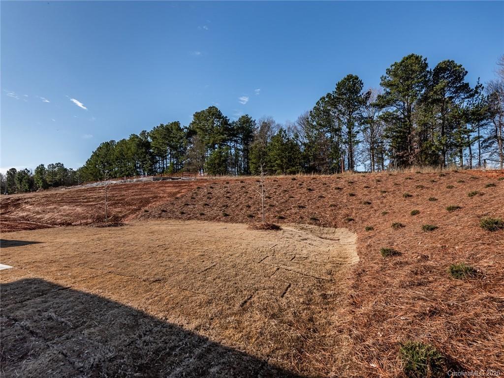 Stoneybrook Station - Residential