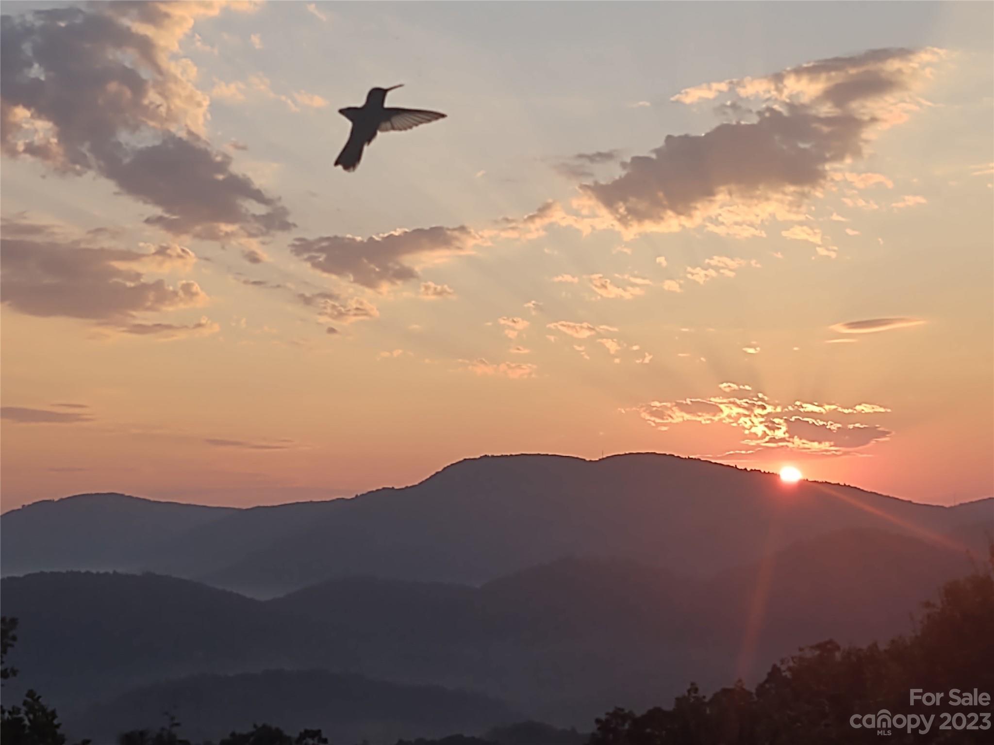 Raven Ridge - Residential