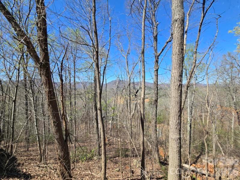 Vista At Bills Mountain - Land