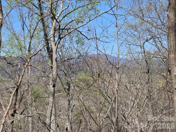 Vista At Bills Mountain - Land