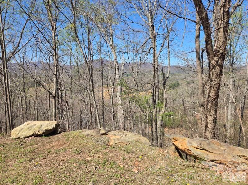 Vista At Bills Mountain - Land