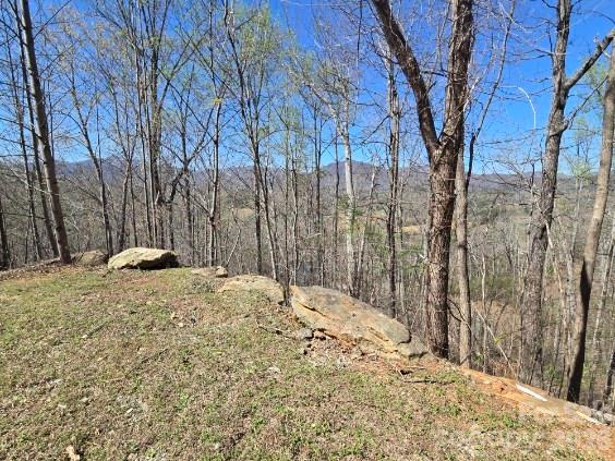 Vista At Bills Mountain - Land