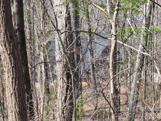 Vista At Bills Mountain - Land