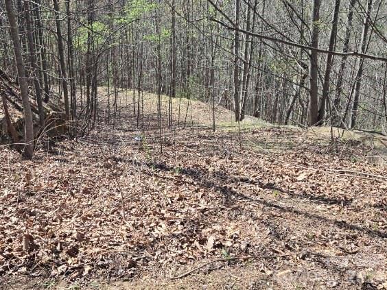 Vista At Bills Mountain - Land