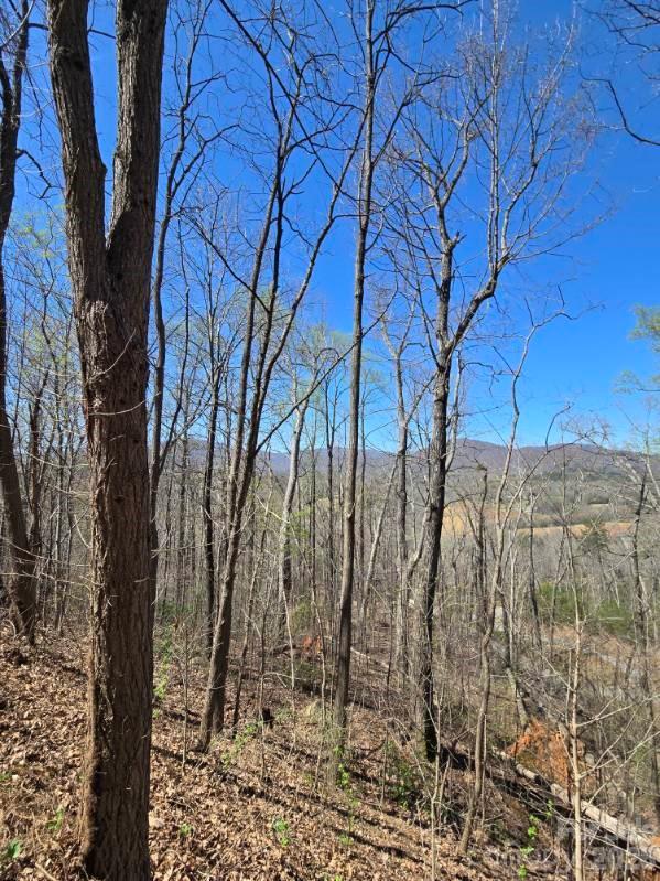 Vista At Bills Mountain - Land