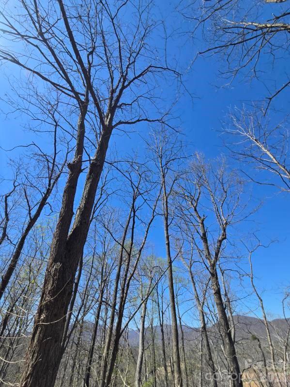 Vista At Bills Mountain - Land