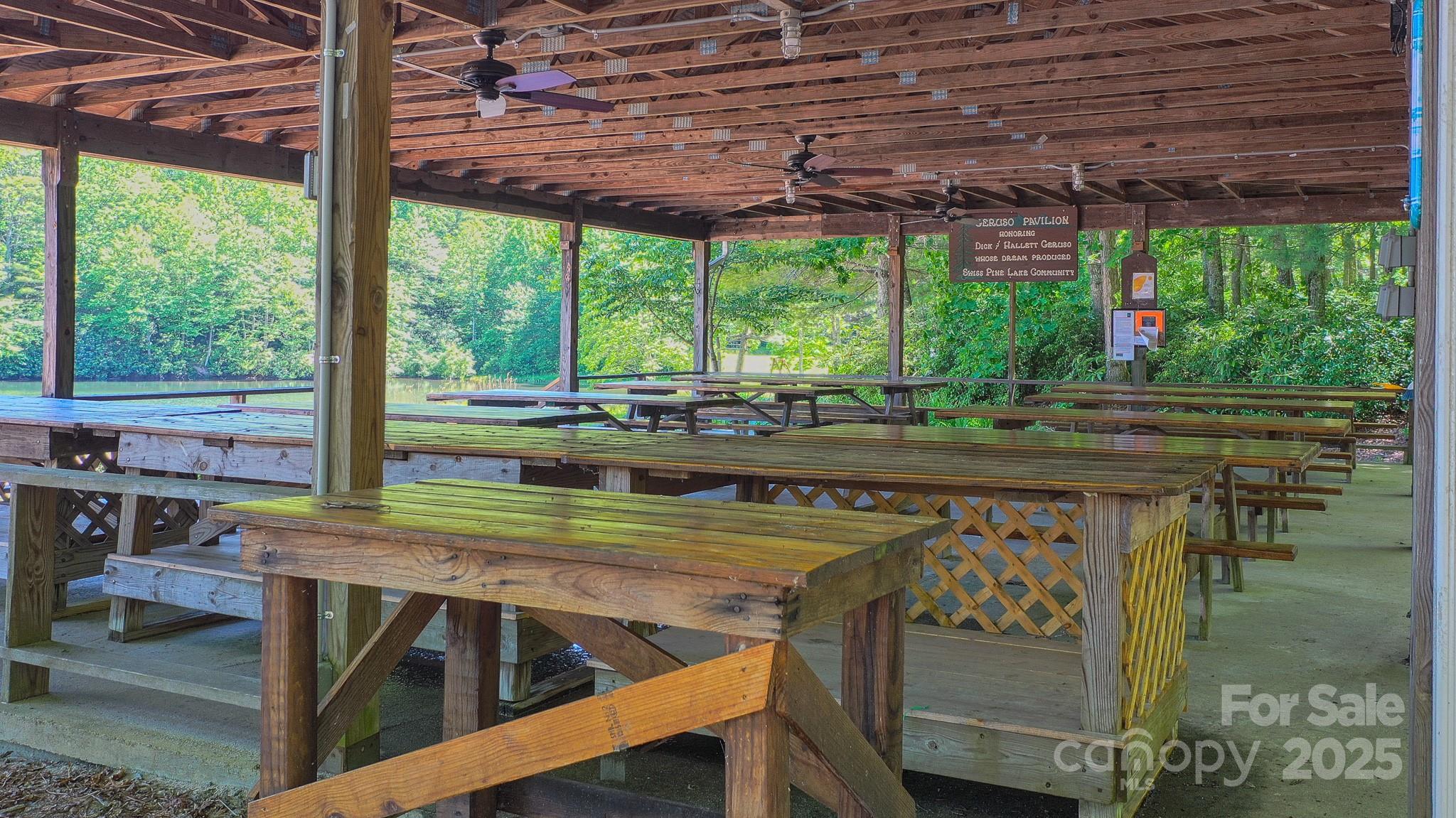 Swiss Pine Lake - Land