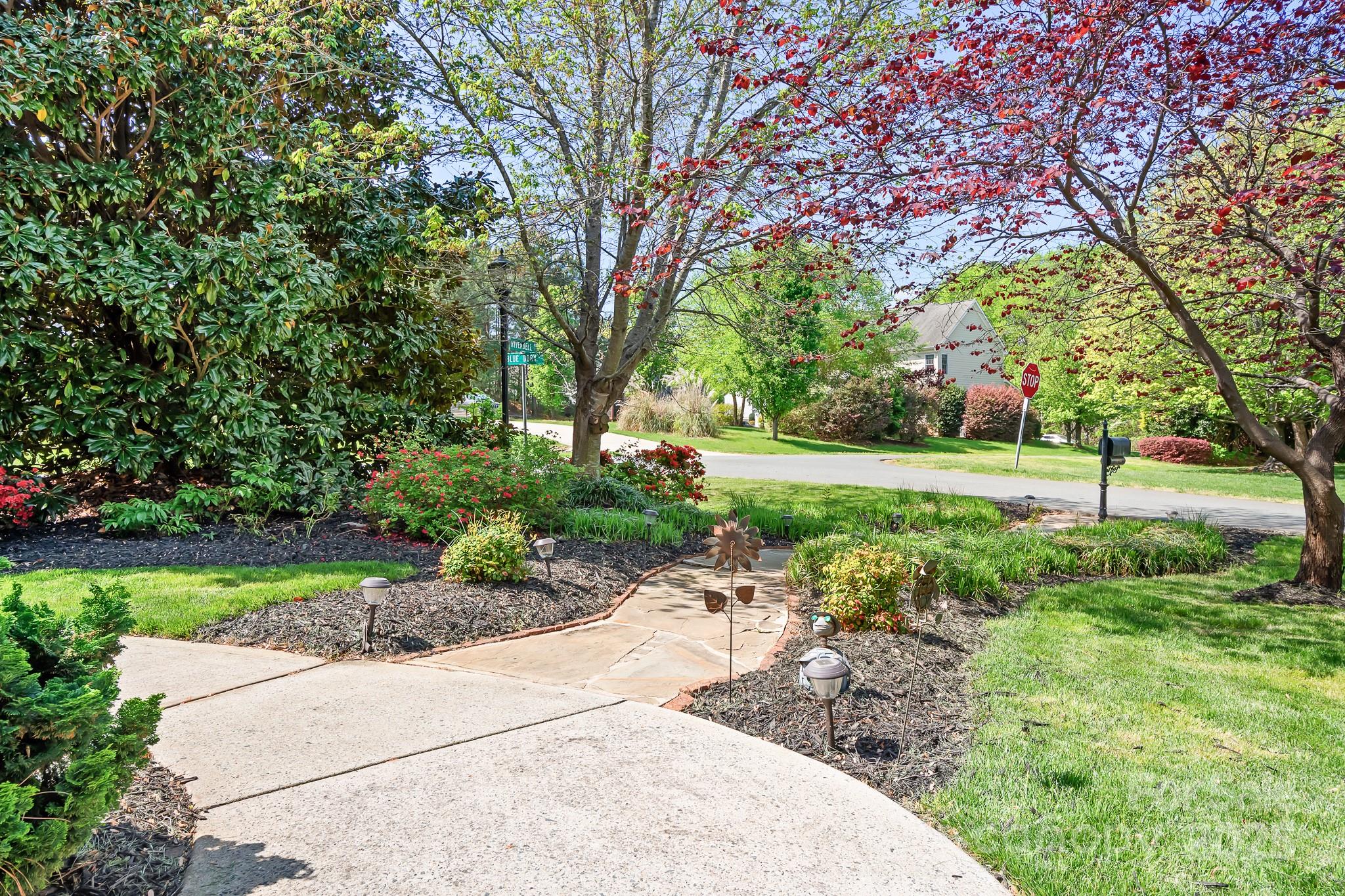 3934 Blue Dory Lane