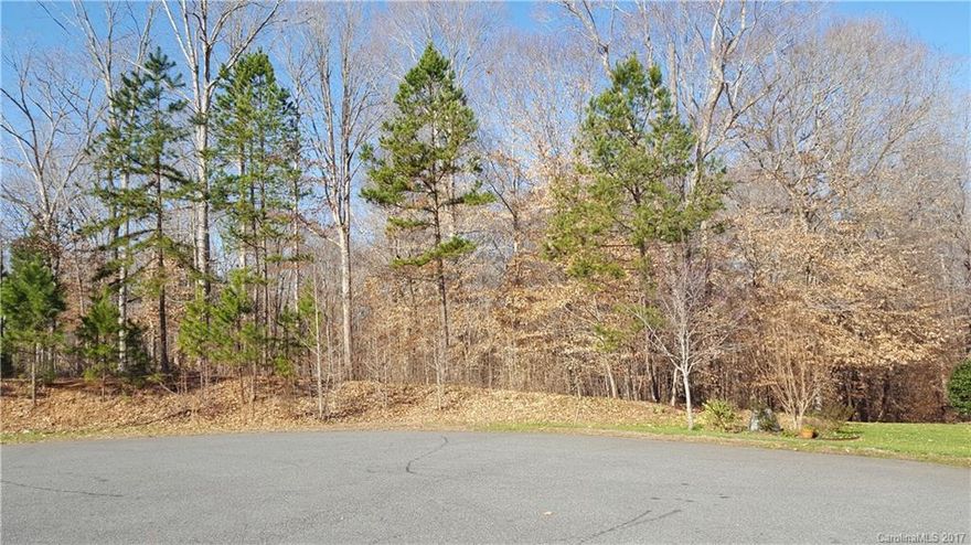 Build your custom dream home on the private wooded lot.  A rare find within a community of Custom Homes.