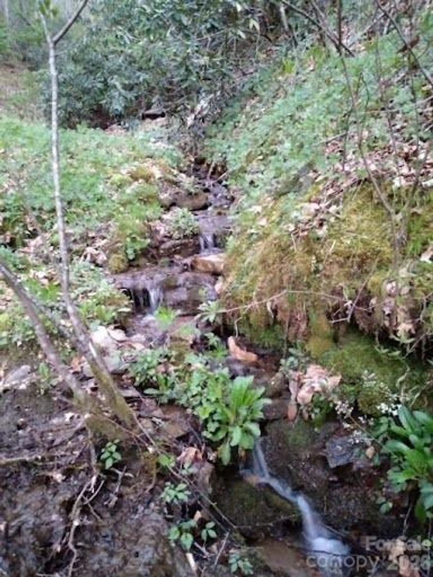 28-acre Smoky Mountains rolling hills ranging from approx. 2,100–2,800 ft elevation, with the property reaching the top of the mountain—your own private peak. Features an artisan mountain spring emerging around 2,650 ft, untouched by human impact, plus two waterfalls, one with a 20-ft bedrock slab ideal for wading and relaxing. Natural waterfalls also exist within a very short distance from the property offering amazing outdoor adventures.
During winter the water levels are low. Two hilltop sites are perfect for additional cabins with some grading. Easy year-round access via paved road with no steep grade—never snowed in—and less than 1 mile to Hwy 74.
Existing 3BR/1BA home. Bring your vision. Extensive mill-cut pine timbers surround much of the home, plus cross-designed center beams. Large concrete septic tank in place. Owner financing with $125,000 down. At 8.5 % fix interest rate .