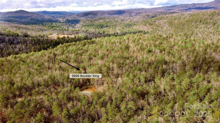 Build your dream home on 3 nearly-level acres in the private community of Stone’s Lake in Cedar Mountain. Just 12 miles south of Brevard, nestled between Dupont State Forest and Caesars Head, enjoy easy access to endless trails and stunning waterfalls. Explore Cedar Mountain Canteen, Hiker and Hound, Cedar Mountain Cafe, and more at the base of the neighborhood. This ready-to-build lot is one of the few remaining in this gorgeous community. With acres of conserved land nearby, this area is a nature lover’s dream - blueberries and mountain-sweet pitcher plants thrive. Experience top-notch amenities including well-maintained roads, underground power and fiber optic, and a large community green space with a stone firepit for glorious days on pristine and private Lake Arrowhead. Survey and current septic permit on file.