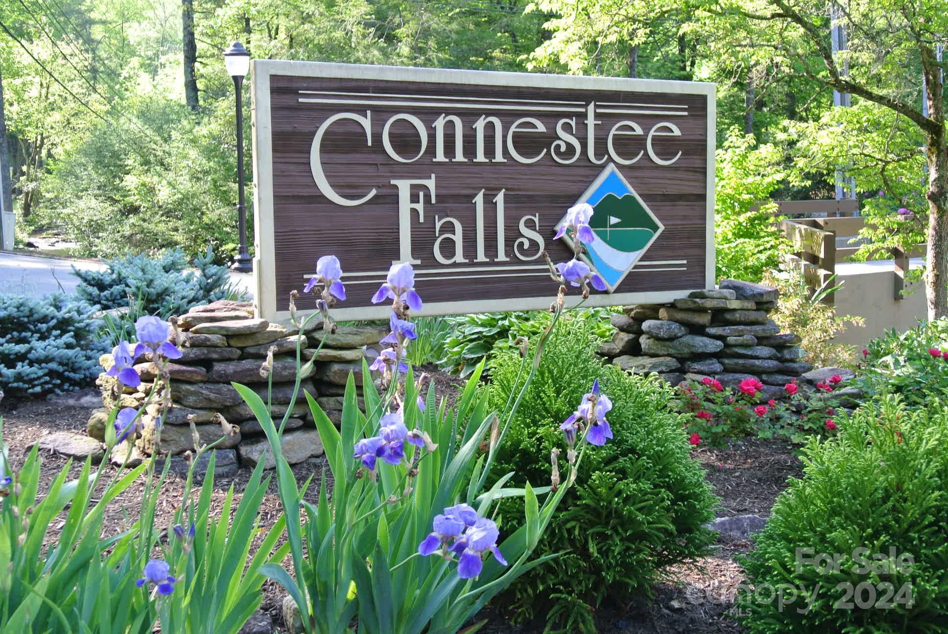 Connestee Falls - Residential