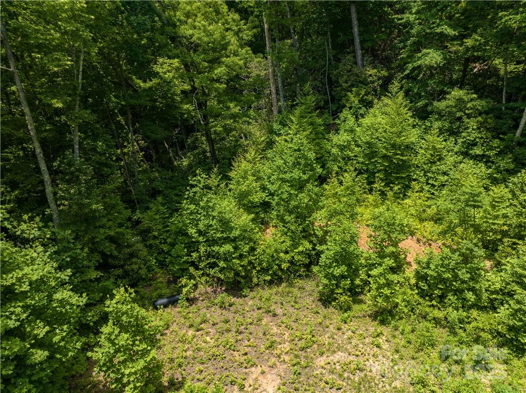 Sylva Vista Development - Land