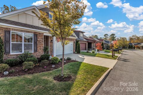 A home in Flat Rock