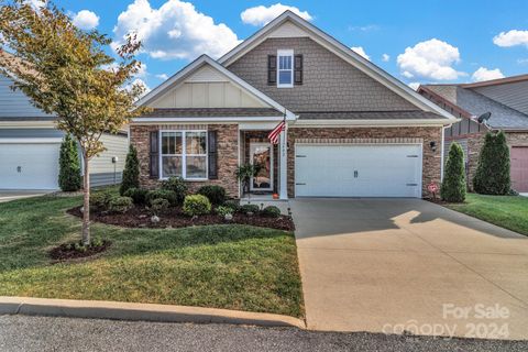 A home in Flat Rock