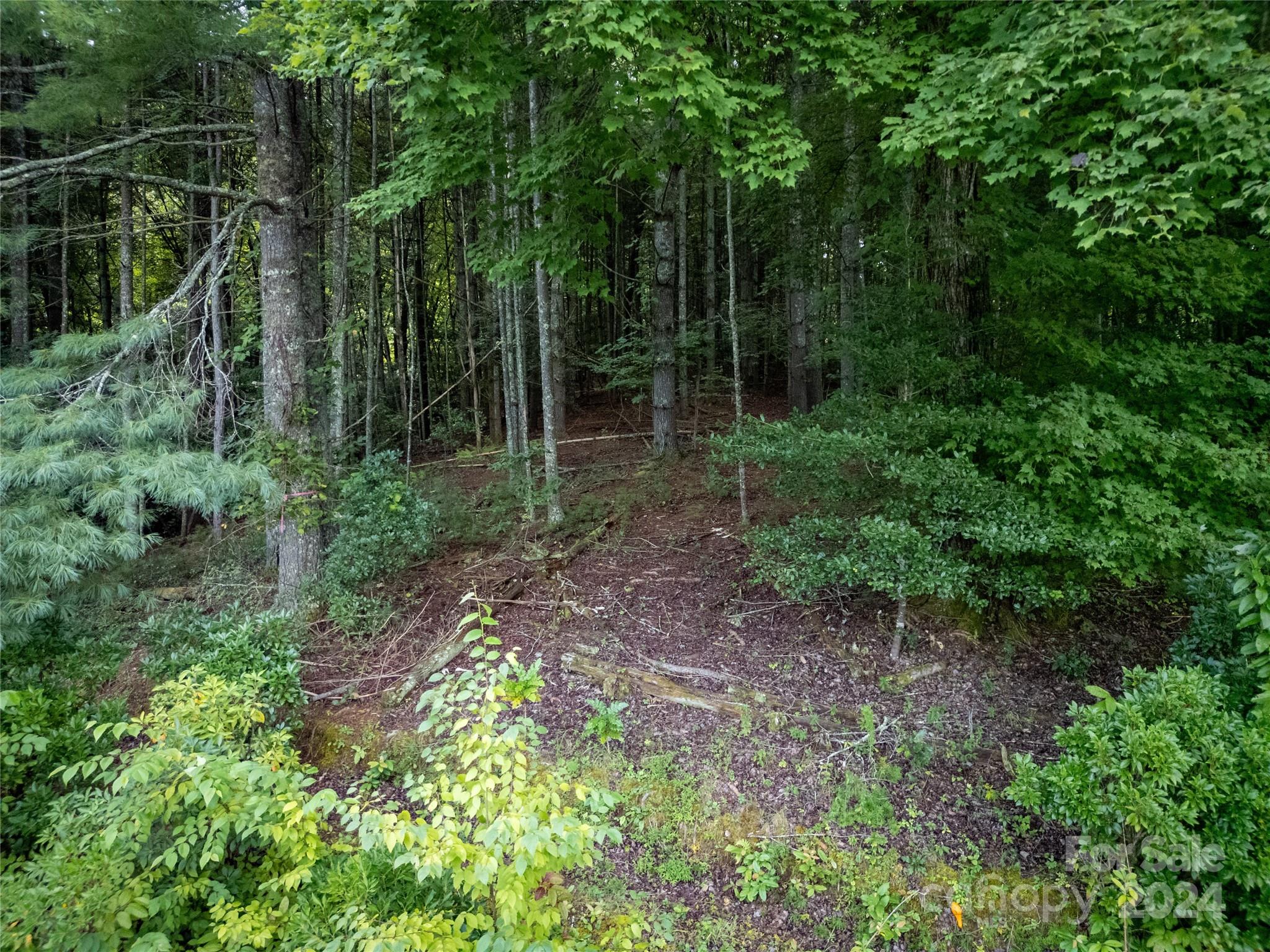 Fox Crossing - Land