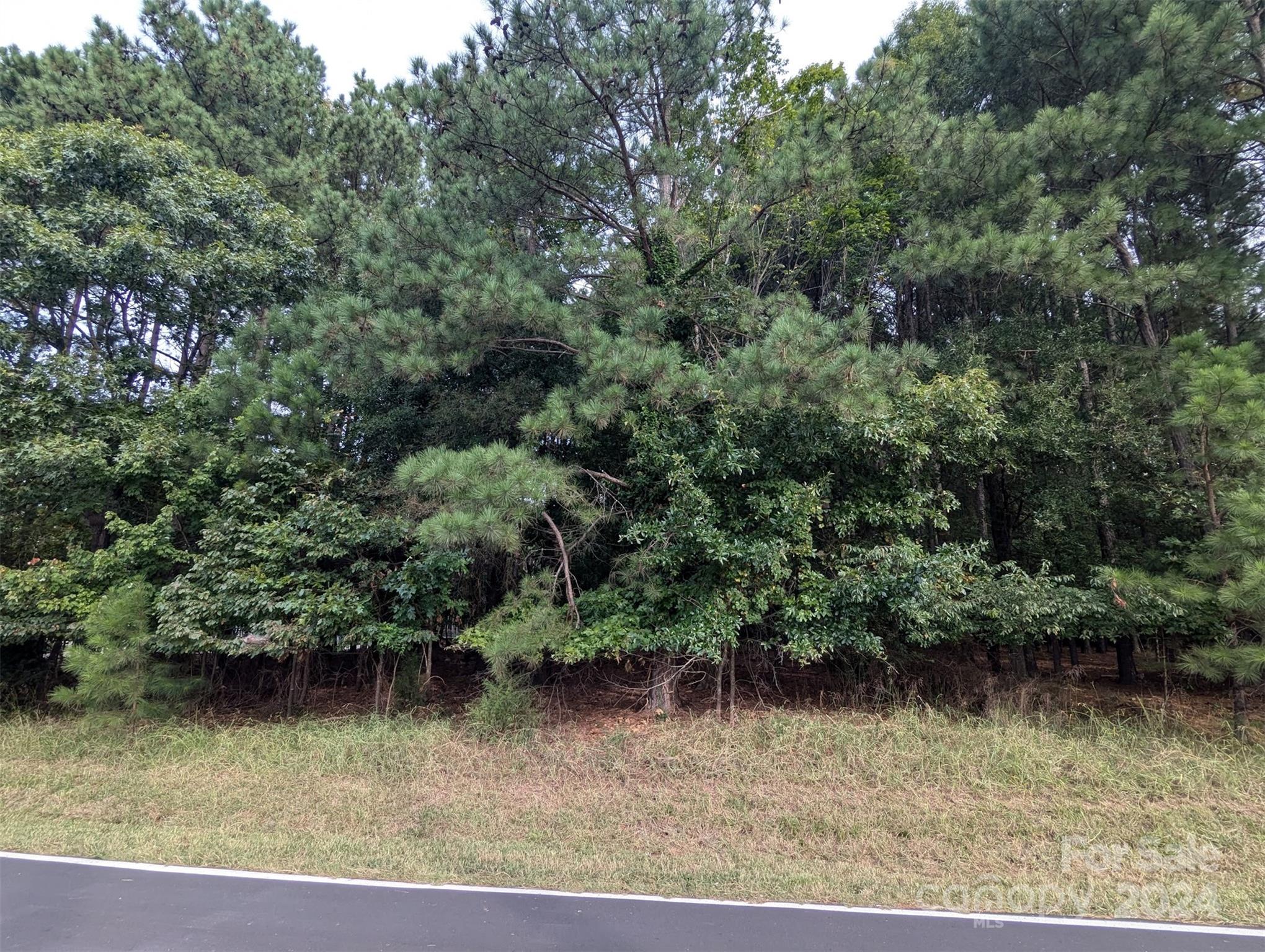Fernleaf - Land