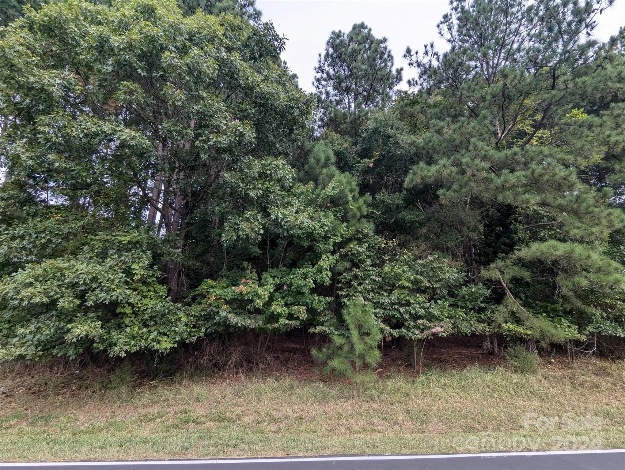 Fernleaf - Land