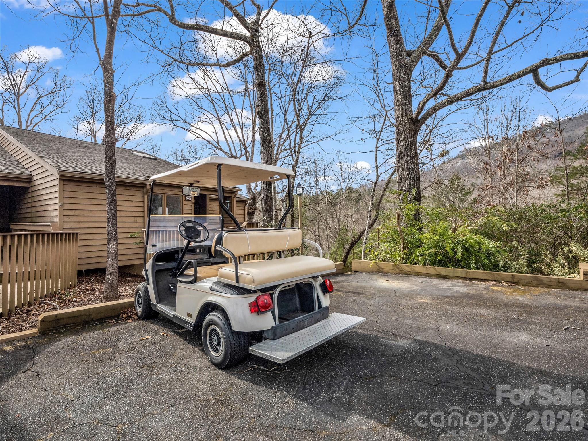 Rumbling Bald on Lake Lure - Residential