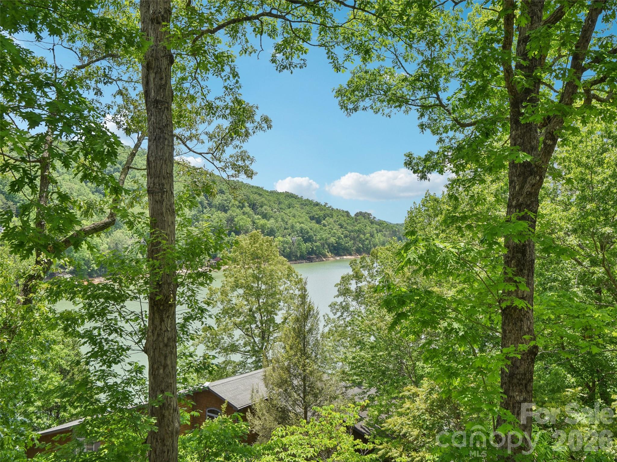 Rumbling Bald on Lake Lure - Residential