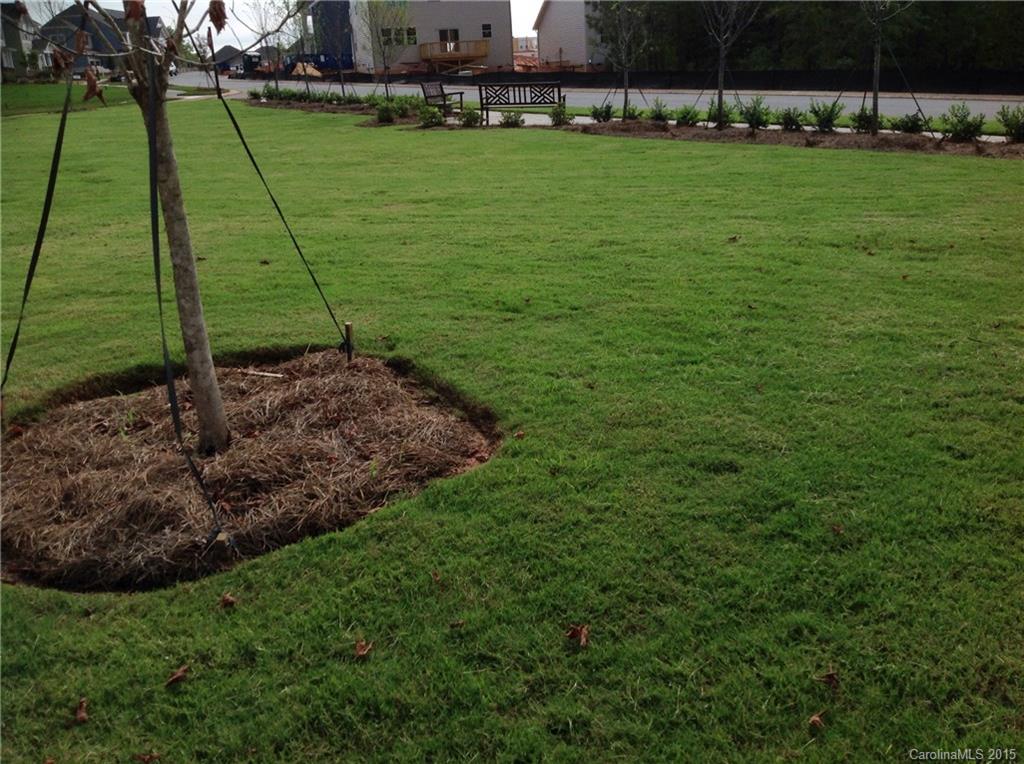 Waterside at The Catawba - Residential