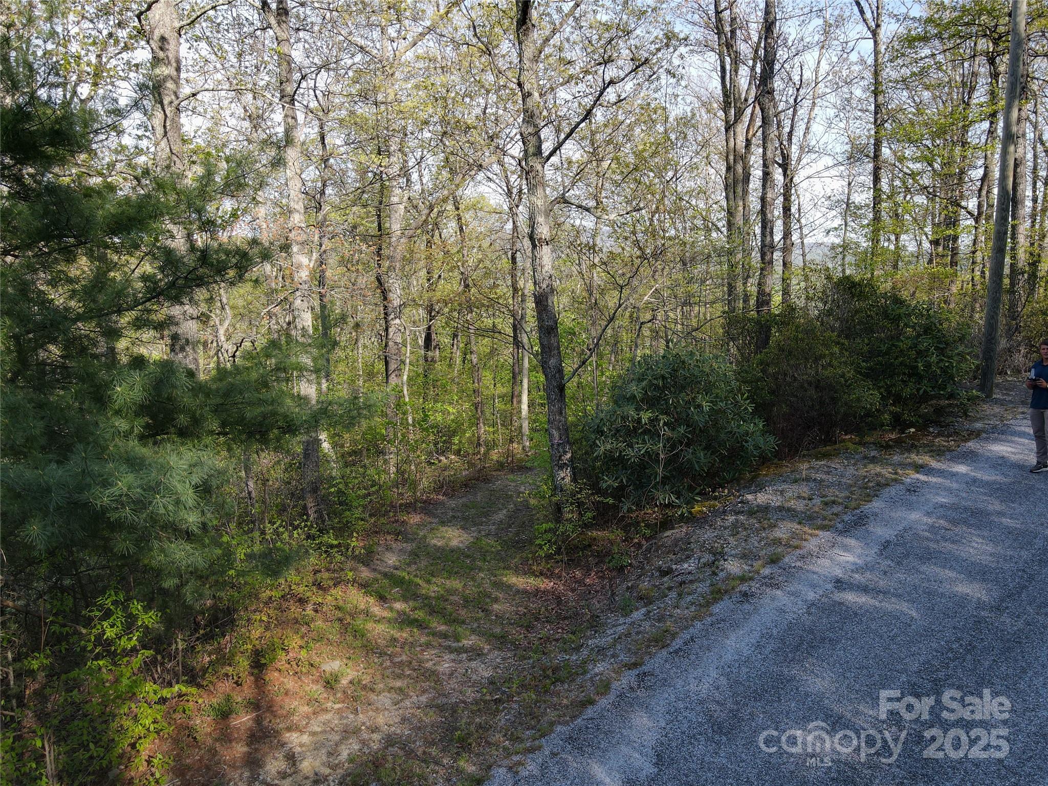 0000 Laurel Creek Drive 32