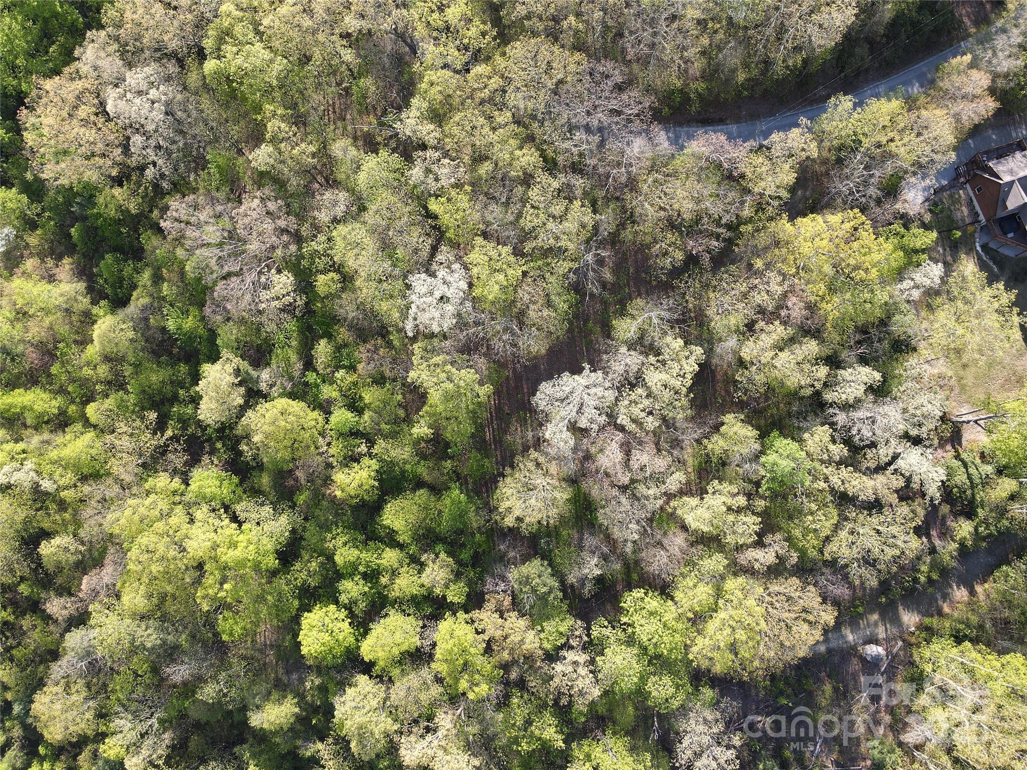 0000 Laurel Creek Drive 32