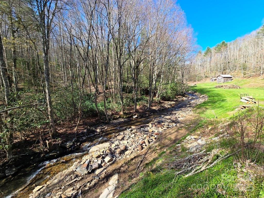 115 Little Horse Path