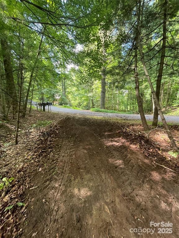 00 Hickory Tree Lane