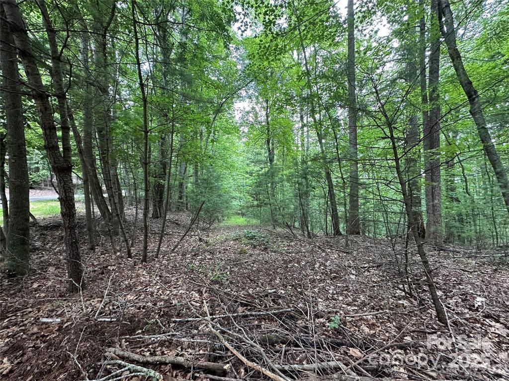 00 Hickory Tree Lane