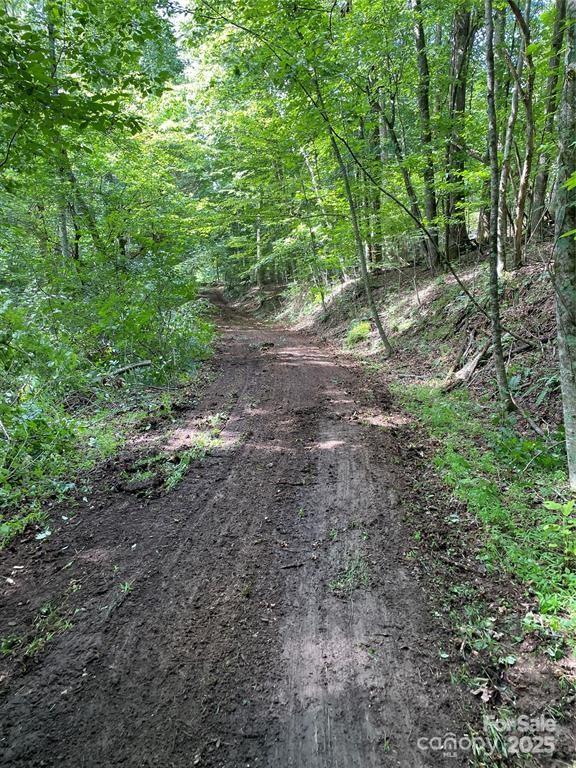 00 Hickory Tree Lane