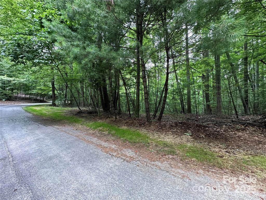 00 Hickory Tree Lane