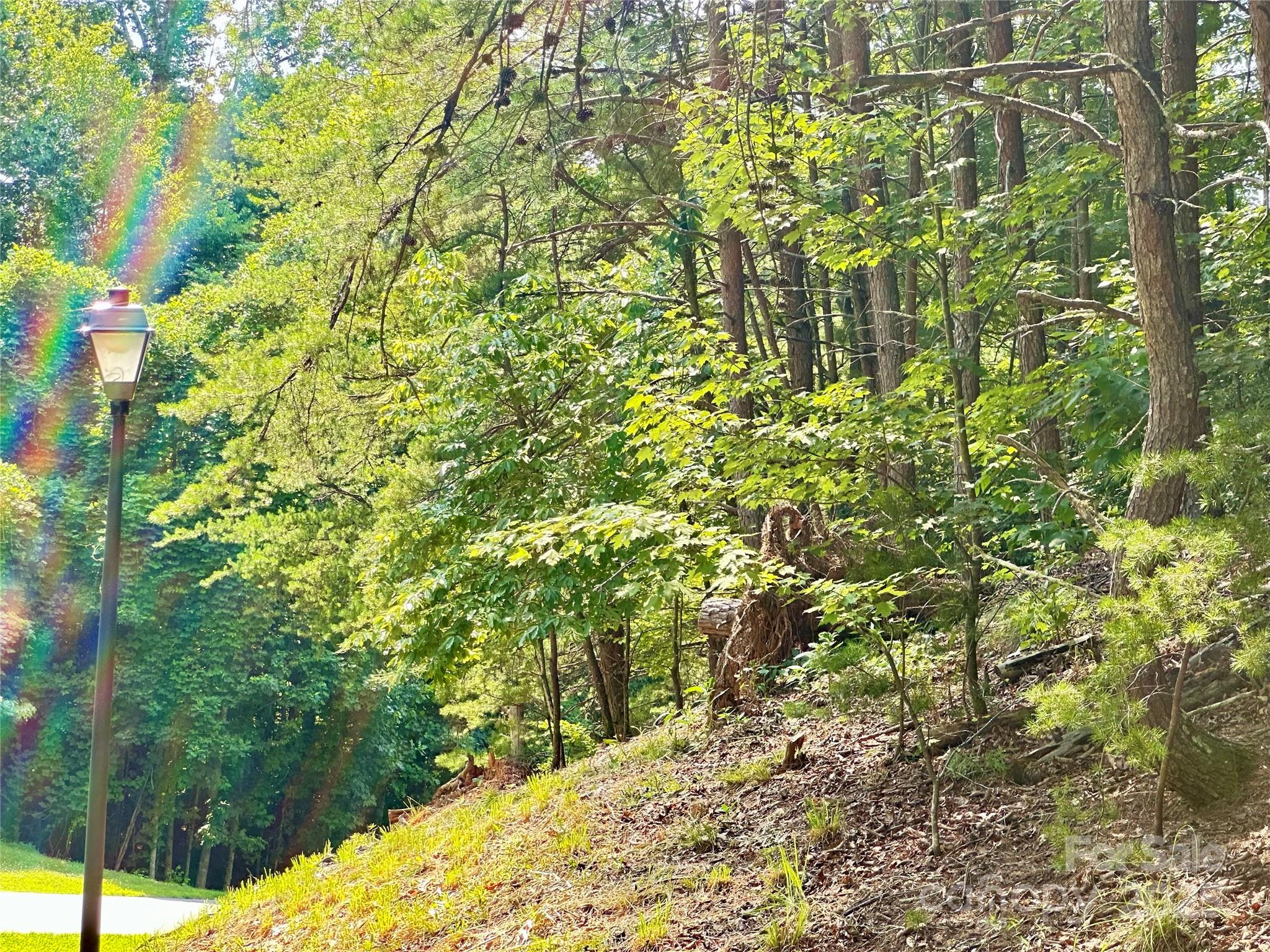 Plantation Point - Land