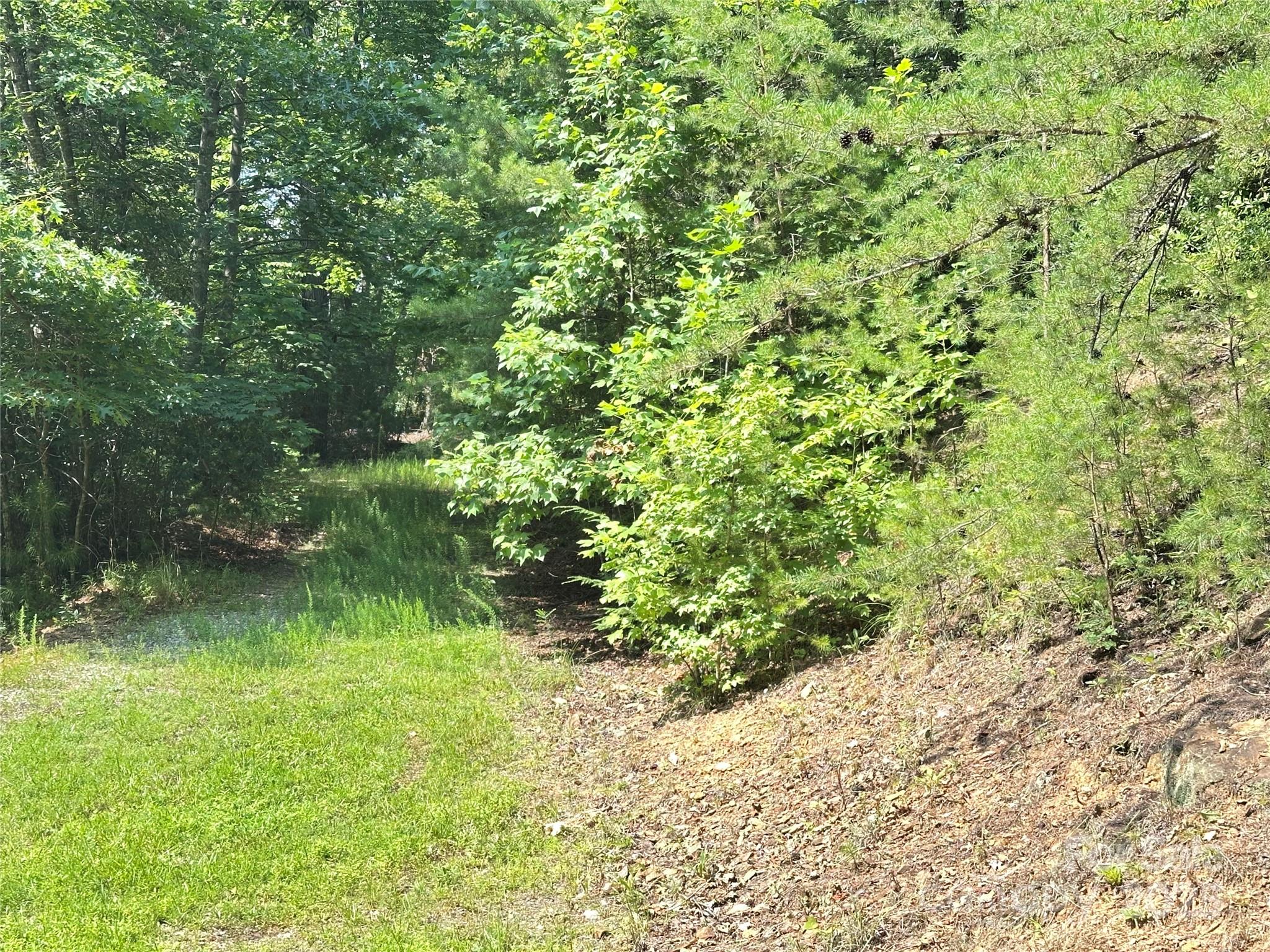 Plantation Point - Land