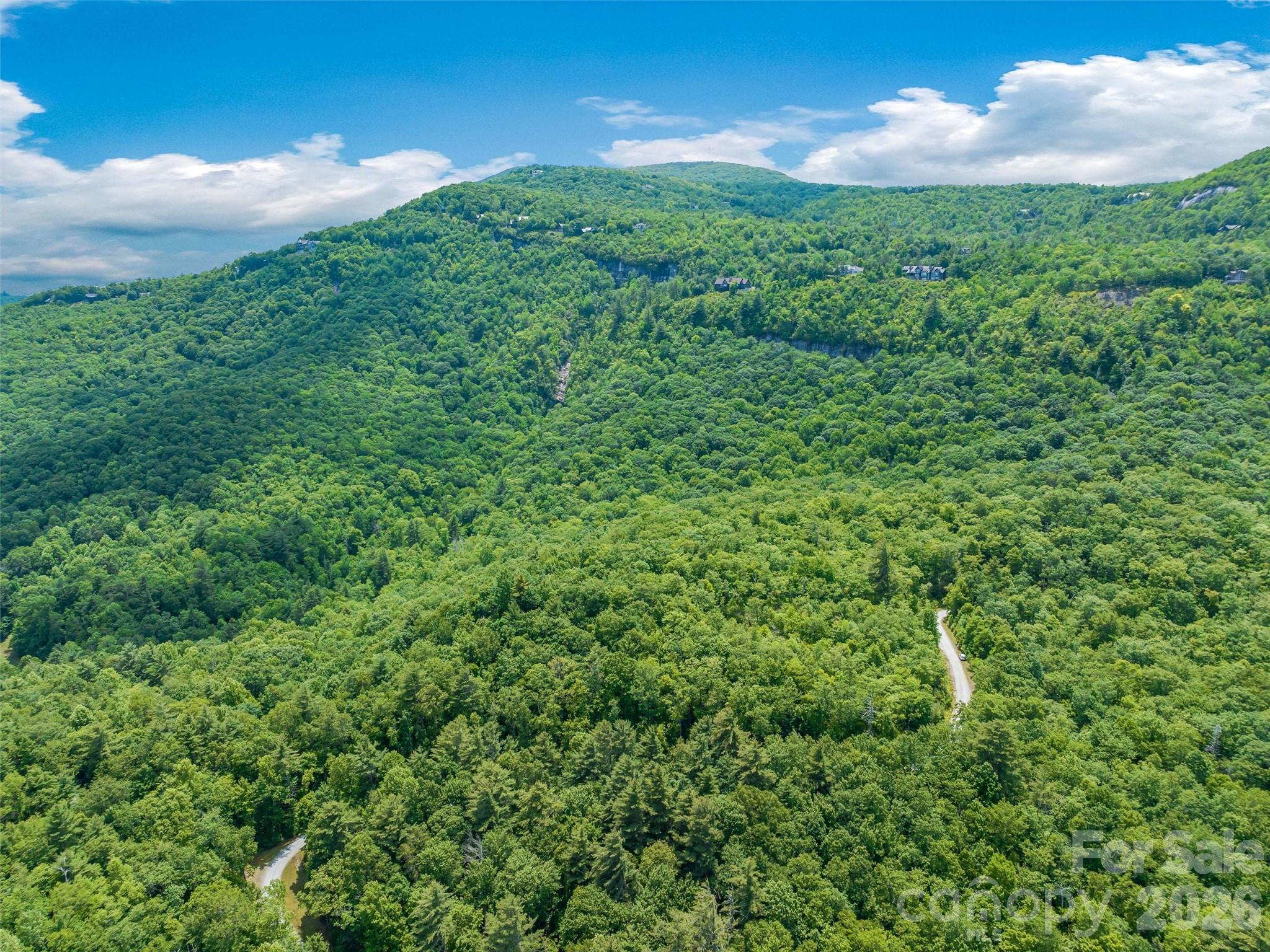 Lake Toxaway Estates - Land
