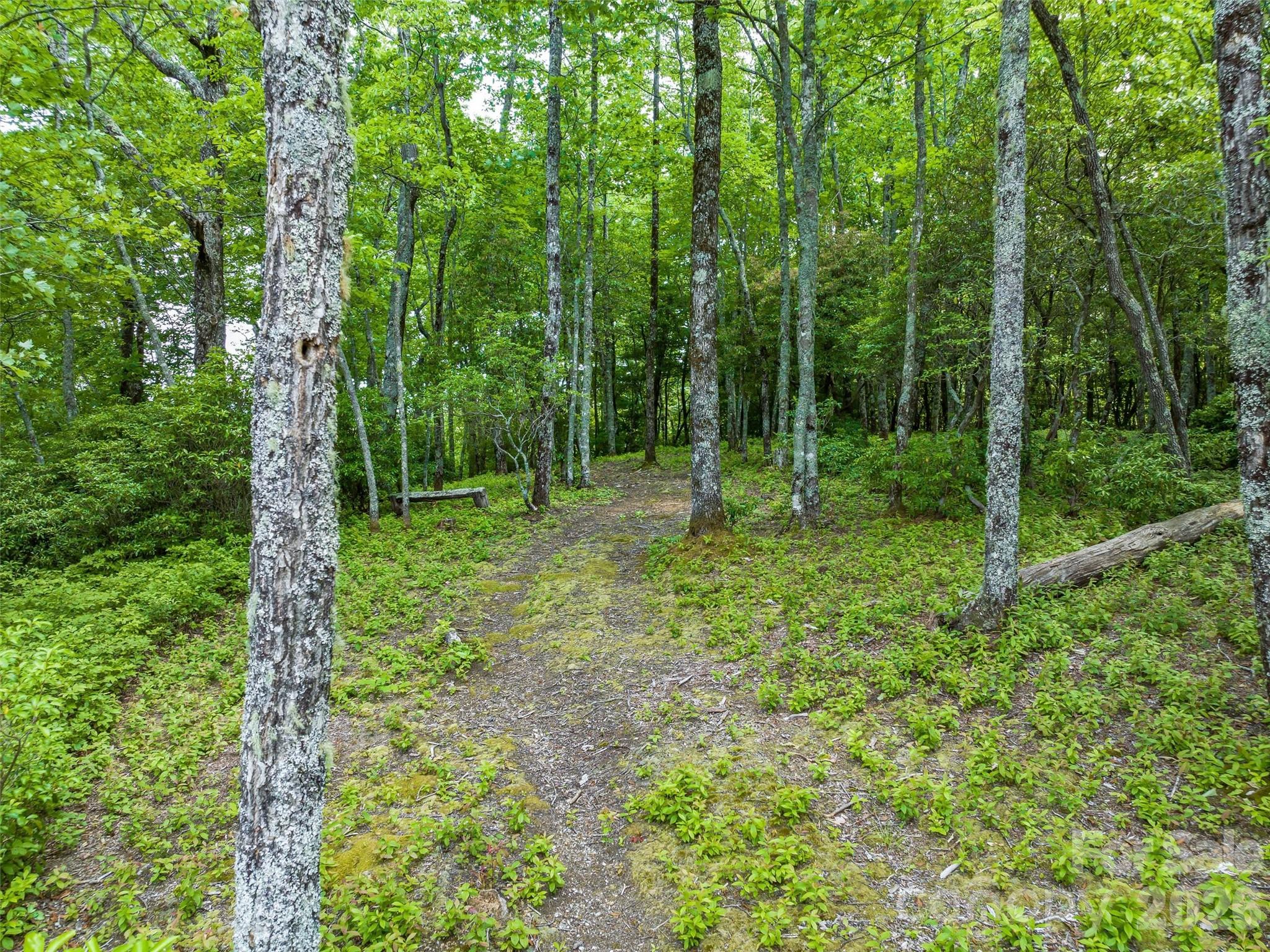 Lake Toxaway Estates - Land