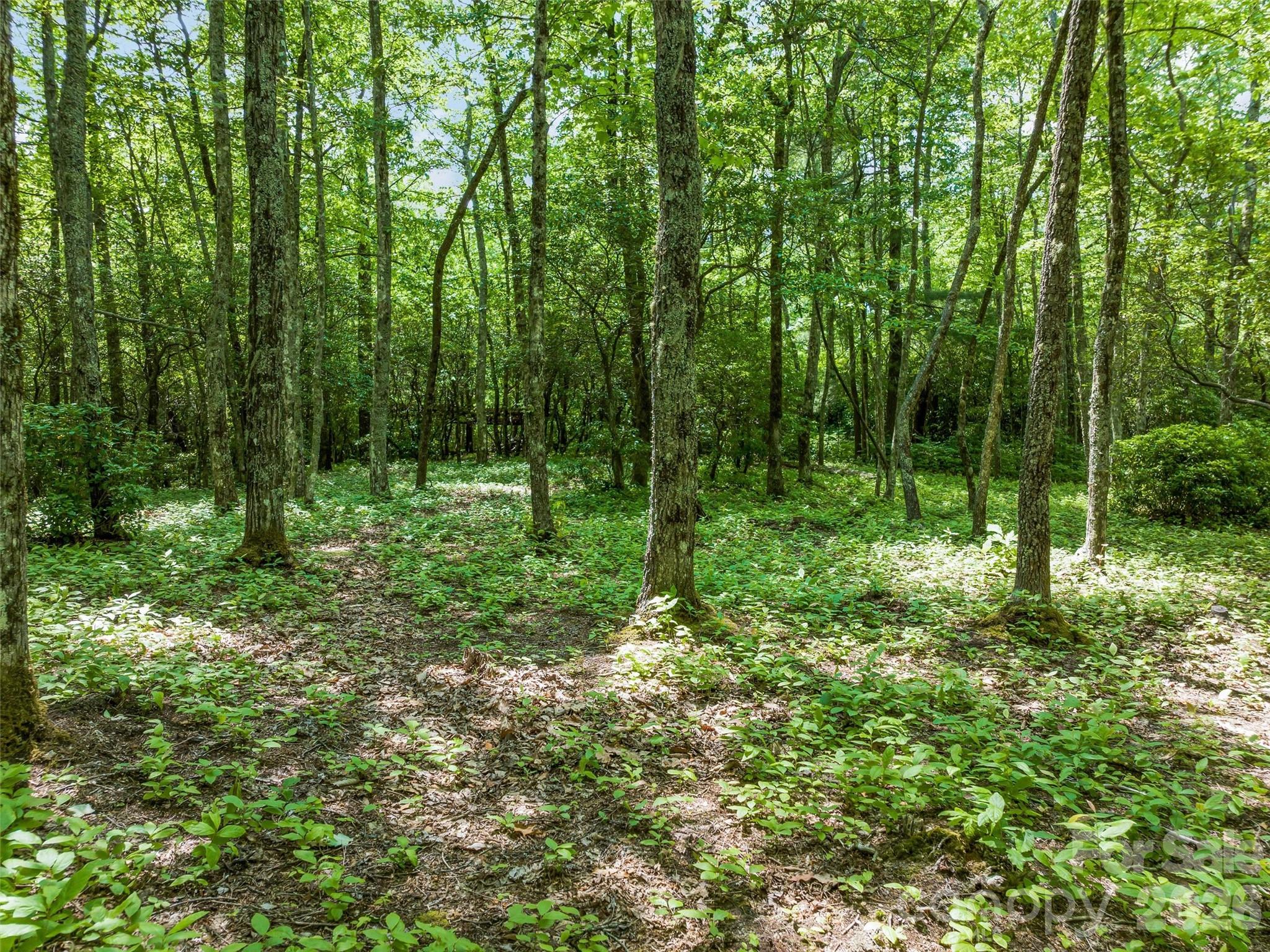Lake Toxaway Estates - Land