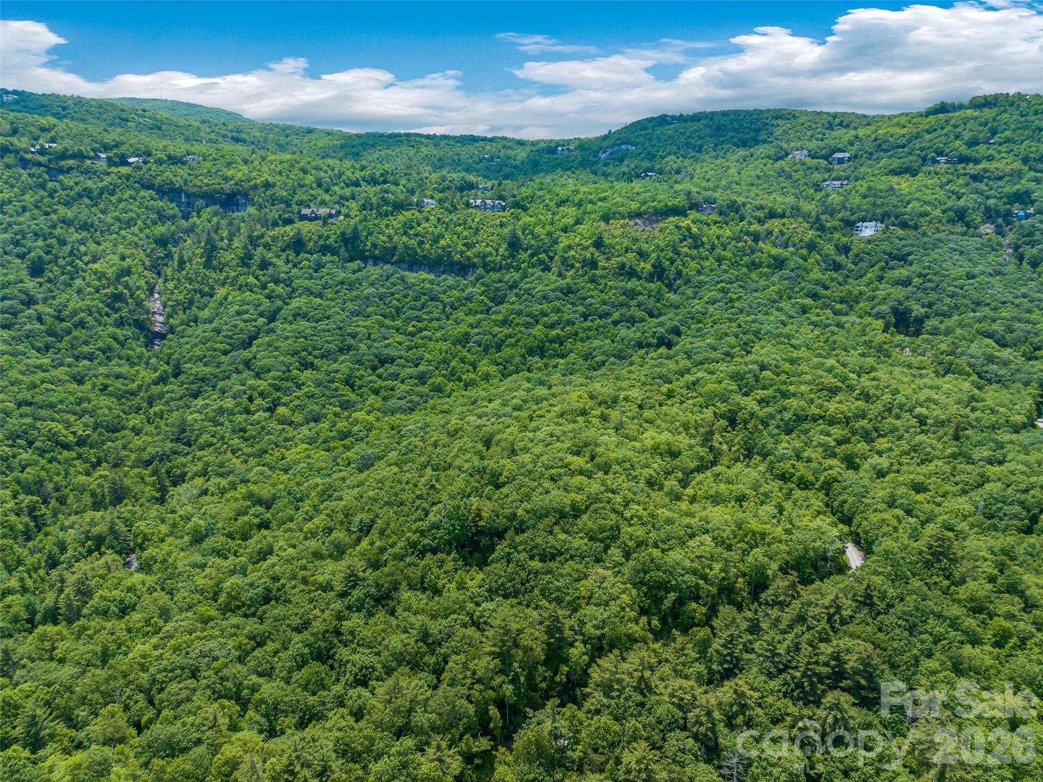 Lake Toxaway Estates - Land
