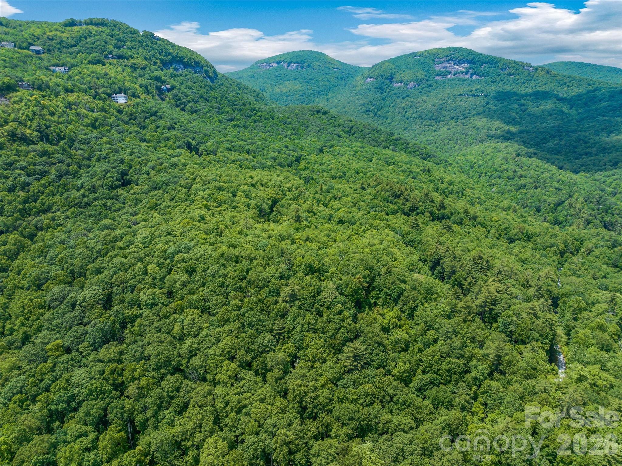 Lake Toxaway Estates - Land