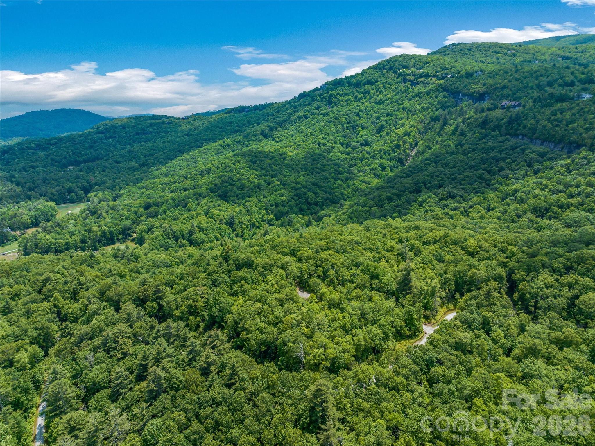 Lake Toxaway Estates - Land