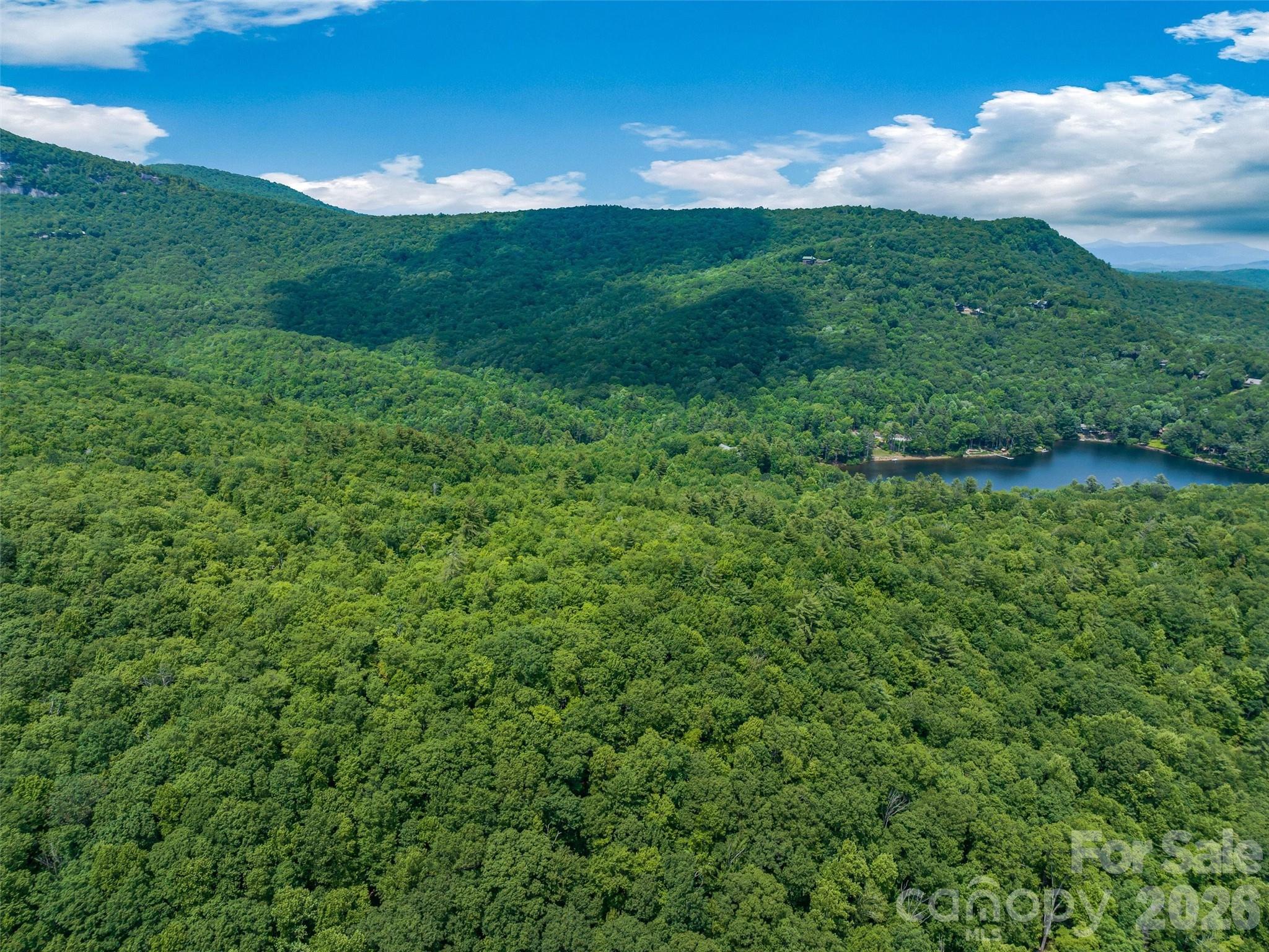 Lake Toxaway Estates - Land