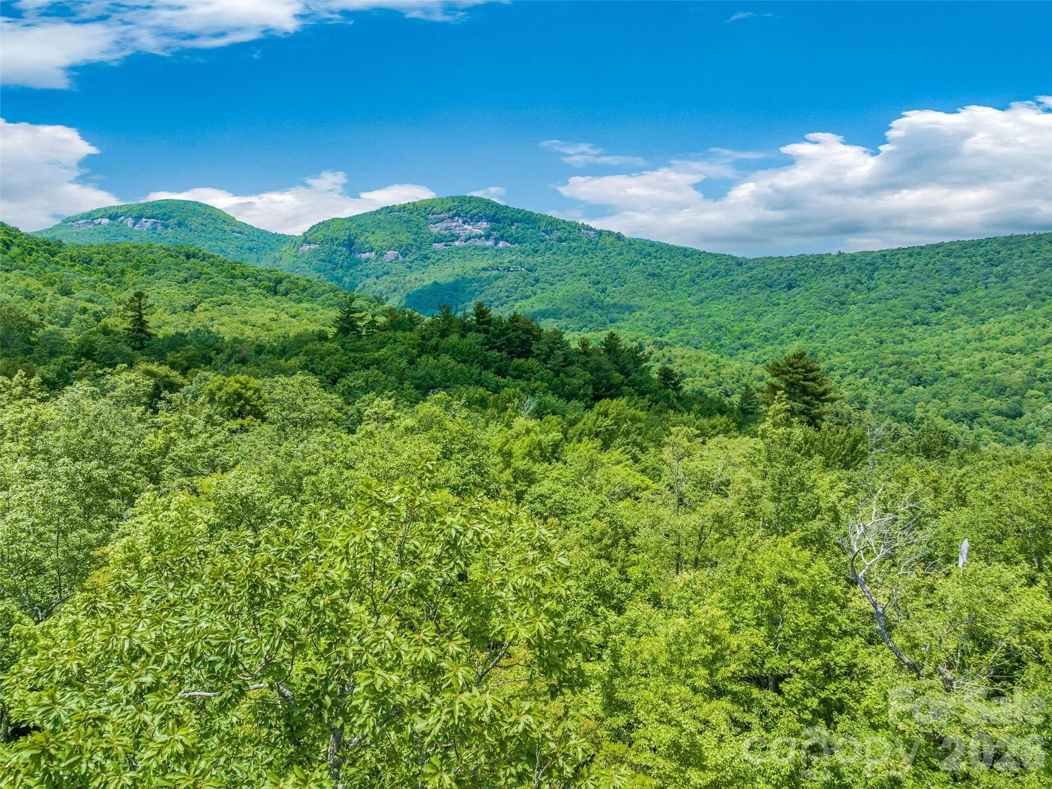 2 Cardinal Drive W Unit TRP 2, Lake Toxaway, NC, 28747