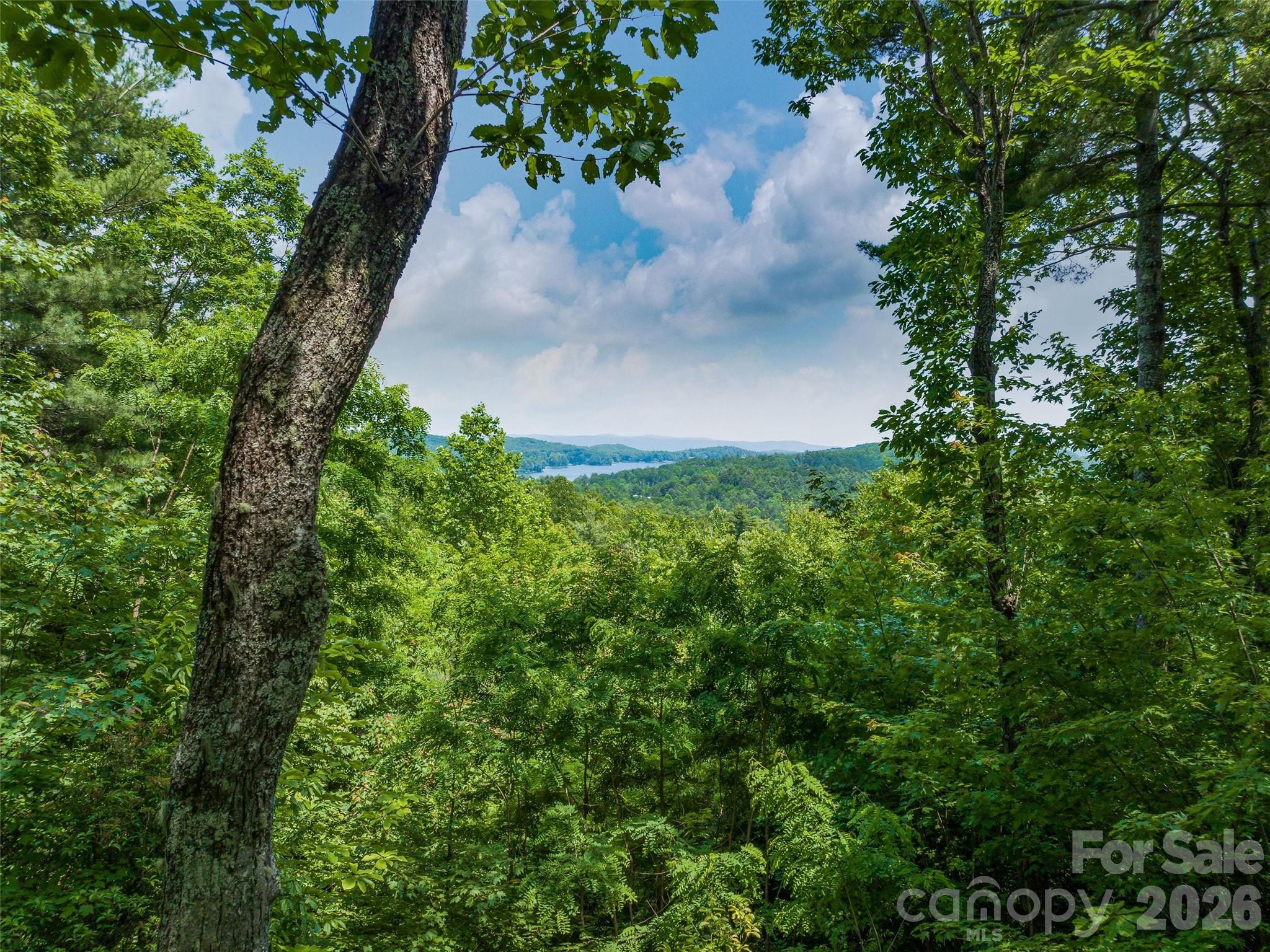 Lake Toxaway Estates - Land