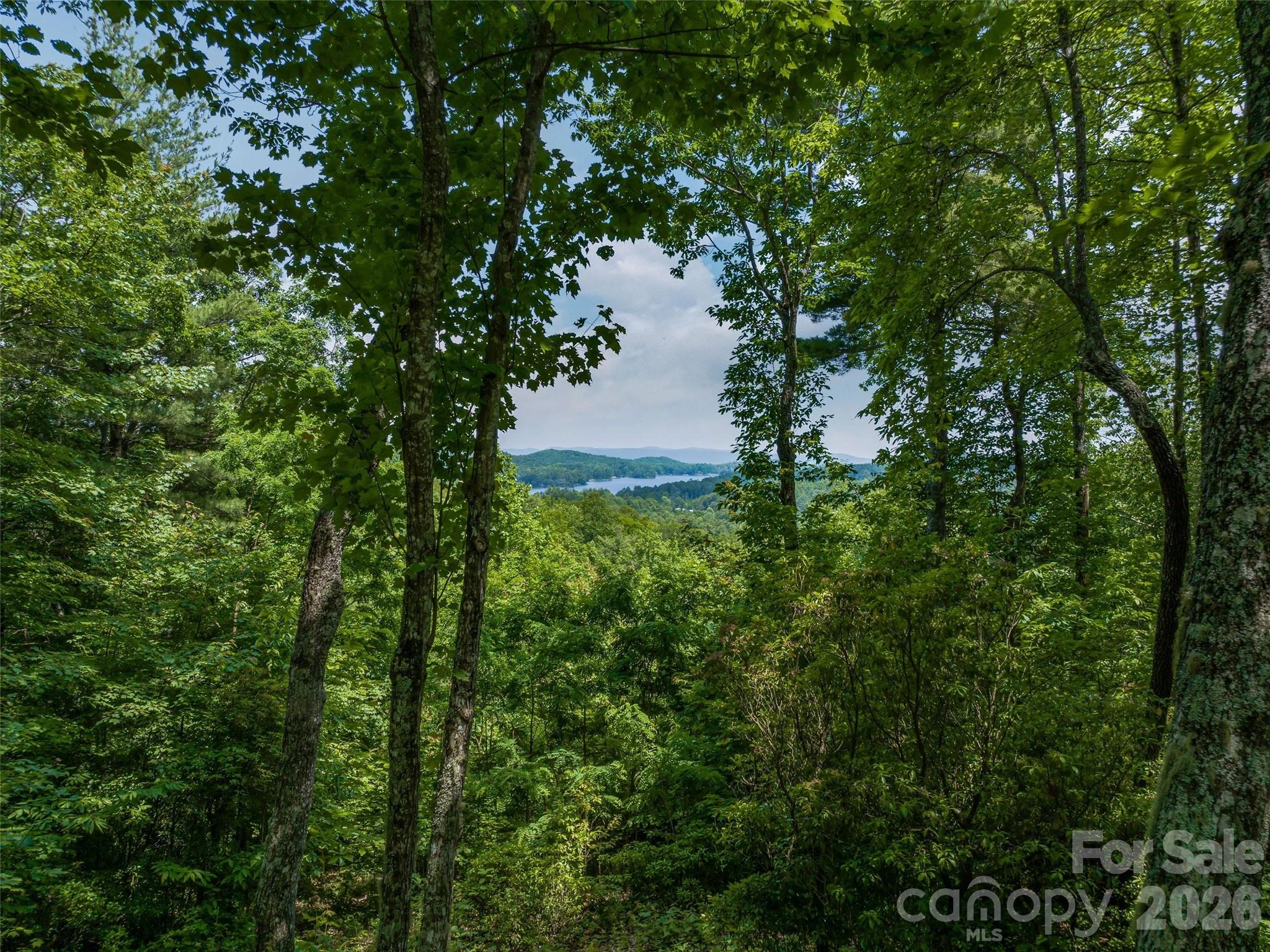 Lake Toxaway Estates - Land