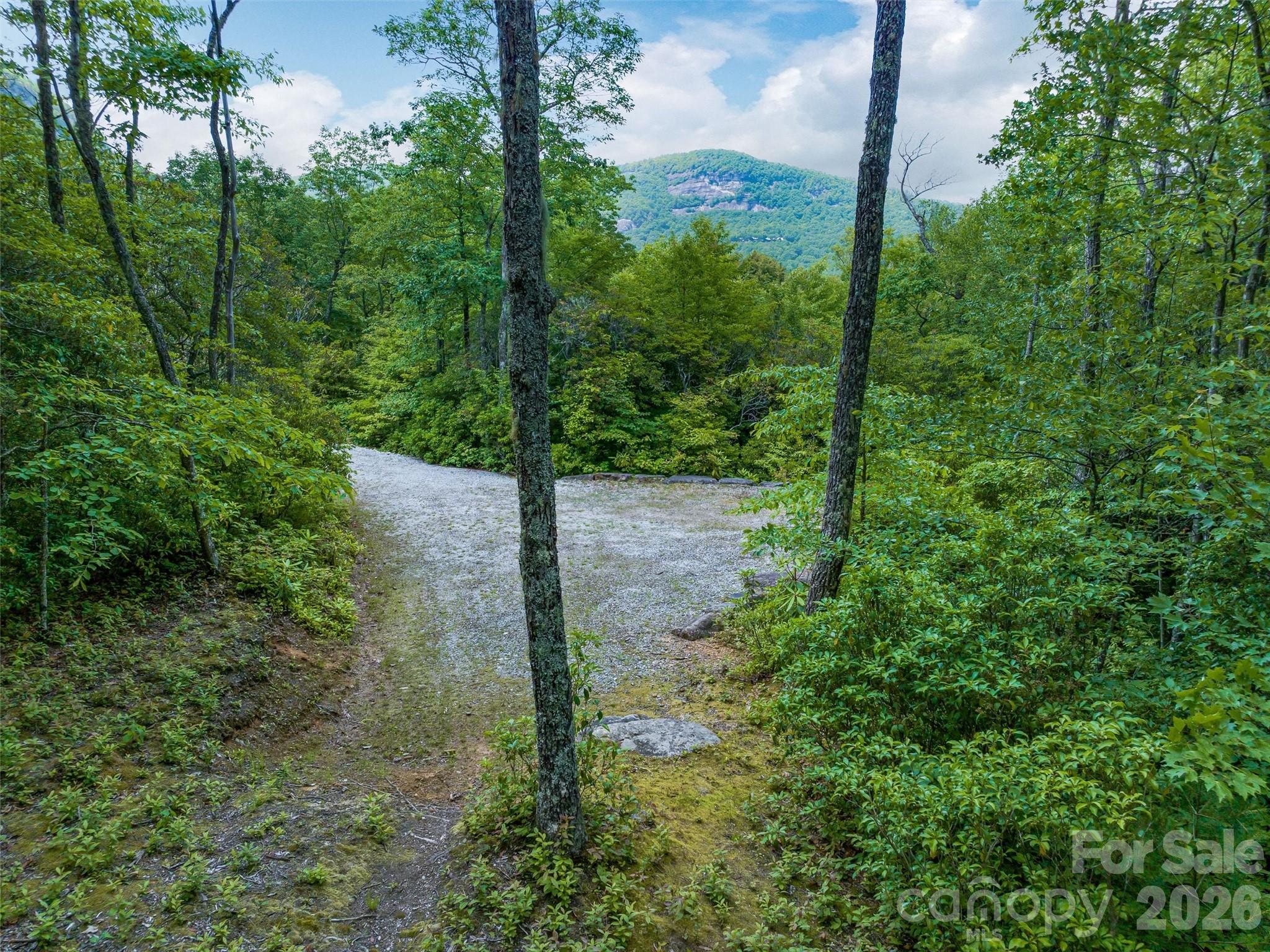 Lake Toxaway Estates - Land