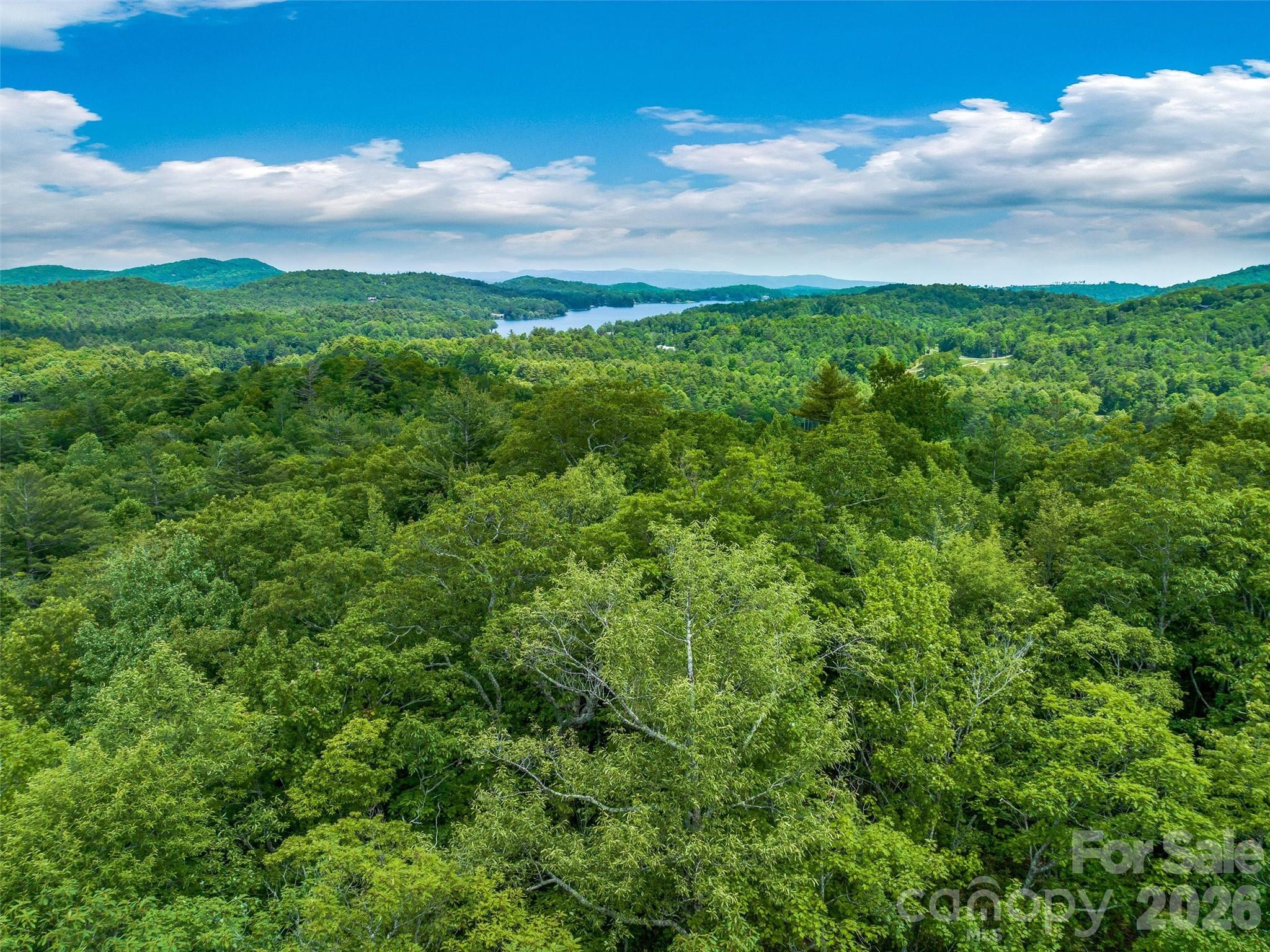 Lake Toxaway Estates - Land