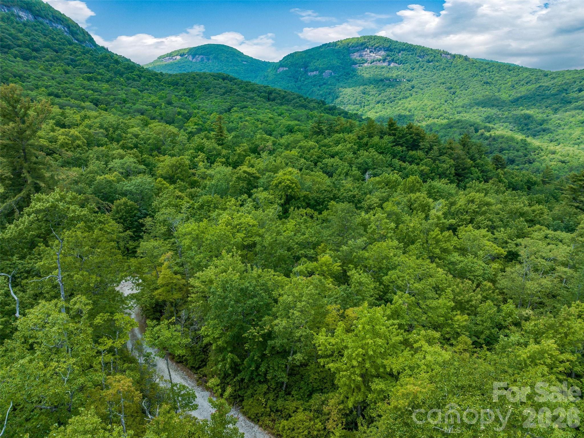 Lake Toxaway Estates - Land
